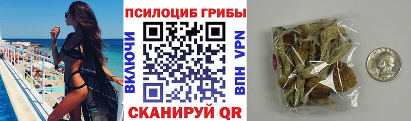 как найти закладки  Баксан  Псилоцибиновые грибы мухоморы 