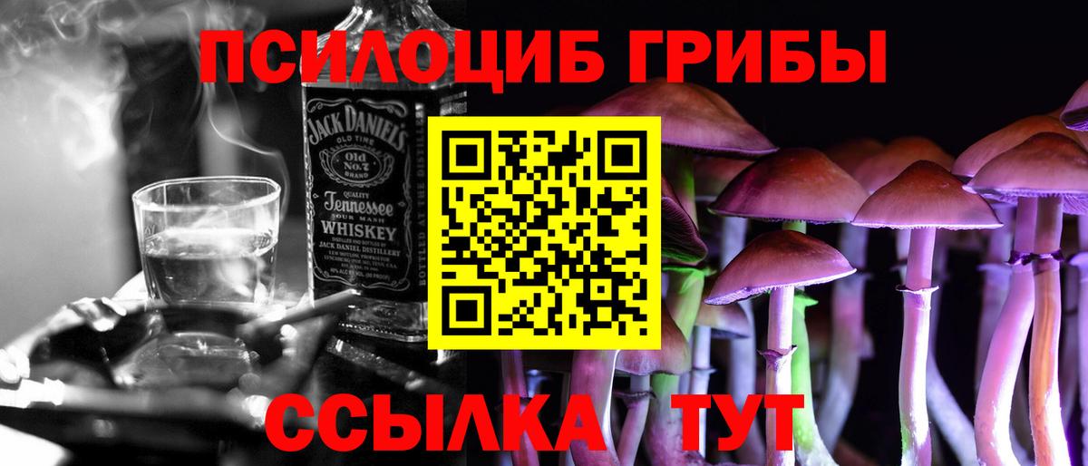 Псилоцибиновые грибы GOLDEN TEACHER  где купить наркоту  Вход с VPN  Баксан  Галлюциногенные грибы ЛСД 